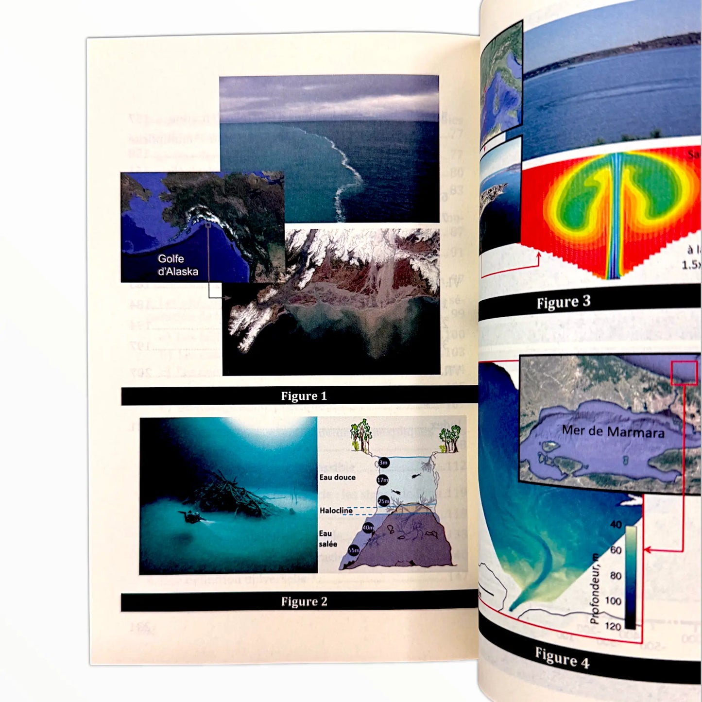 Les miracles du Coran : De l’analyse scientifiques à l’élévation spirituelle