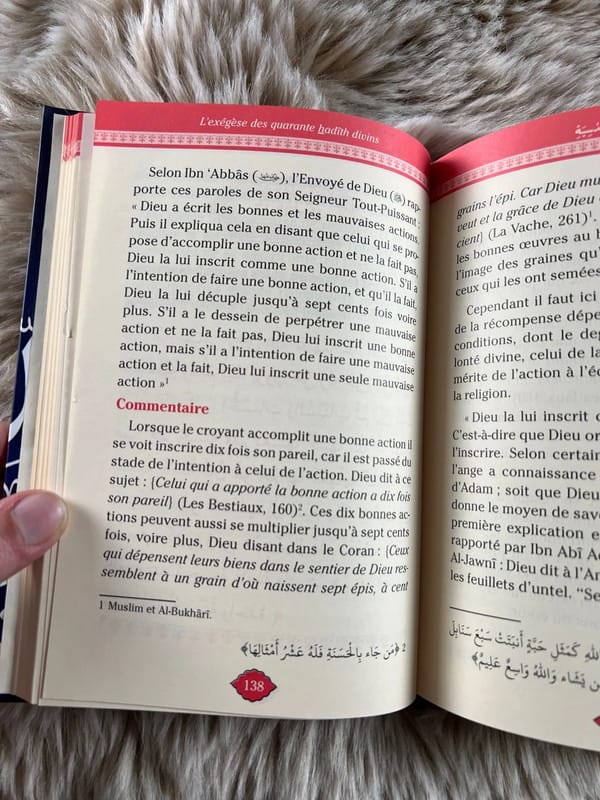 L’exégèse Des Quarante Hadîth Divins &#8211; maison d&rsquo;ennour&#038;&#038;