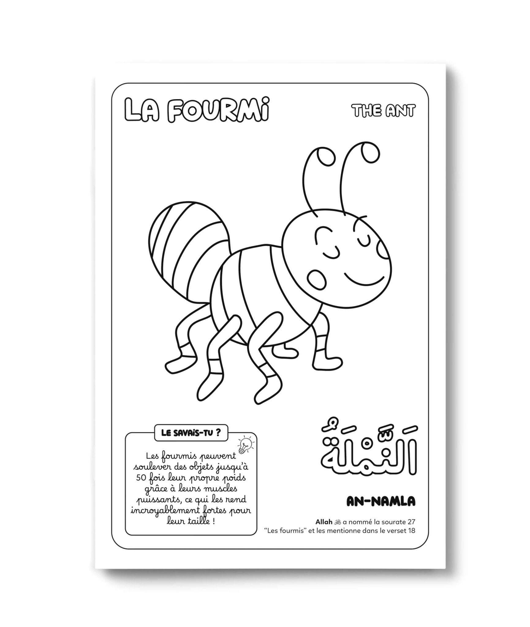Colorie et Apprends : Les 30 animaux cités dans le Coran - Dès 4 ans - Édition : DeeniLearn - KokechliDeeniLearn