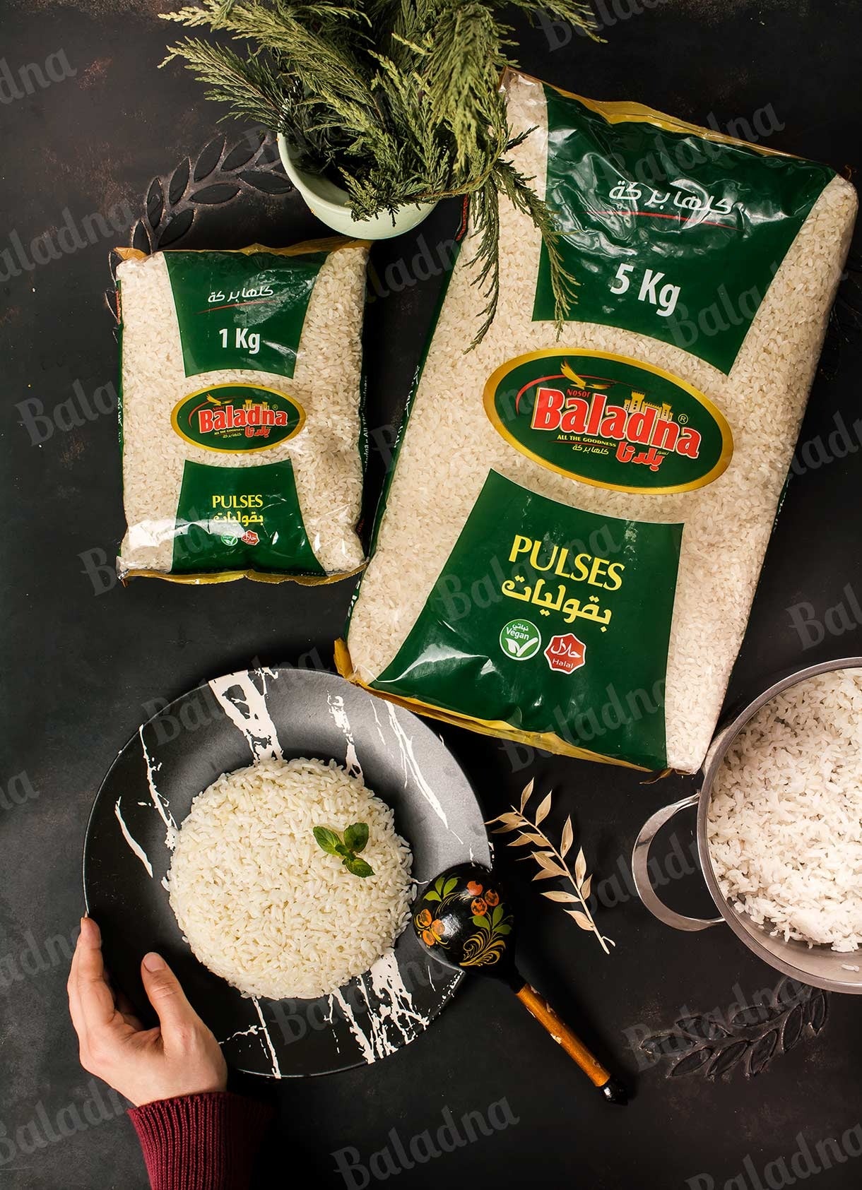 Riz Camolino Baladna Halal – Sachet 900g | Origine Portugal