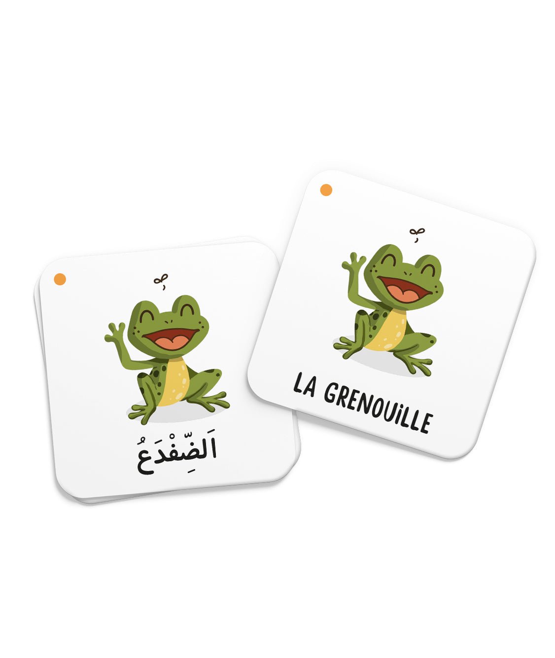 Mémo des animaux du Coran – Jeu éducatif dès 3 ans (DeeniLearn) - KokechliDeeniLearn