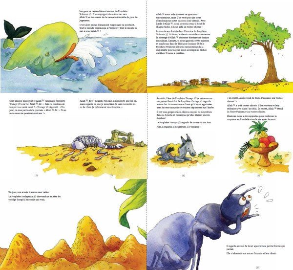 Mon premier Coran Livre d’histoires – Couverture cartonnée ✨ - KokechliOrientica