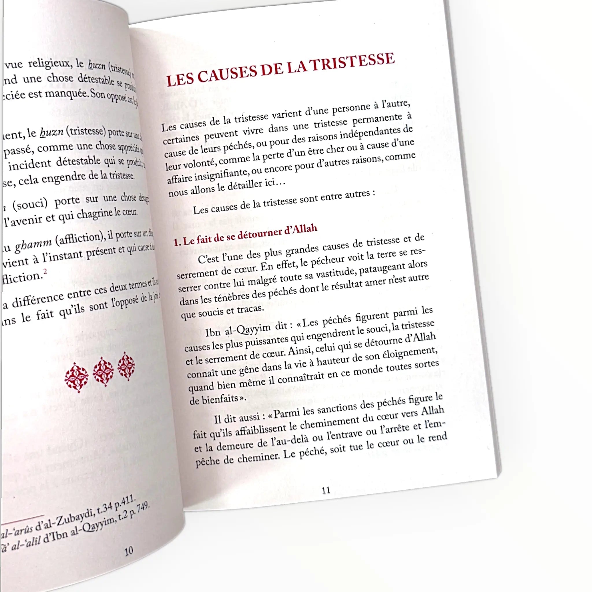 Ne sois pas triste, Allah est ton Seigneur - KokechliAl Hadîth
